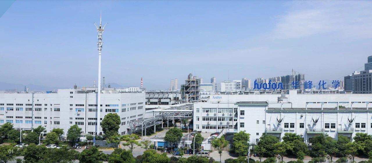 氨纶.jpg